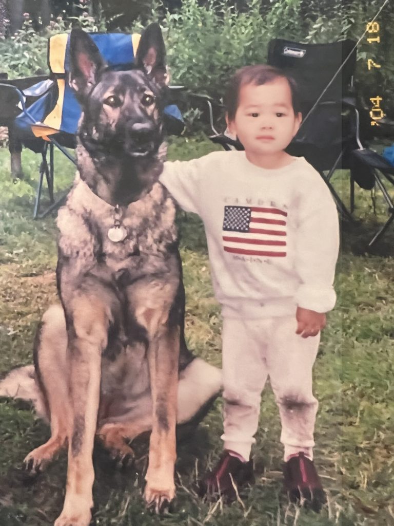 Small Chinese toddler with German Shepherd dog.